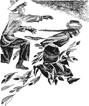 Читать книгу Сын Сарбая автор: Шукурбек  Бейшеналиев