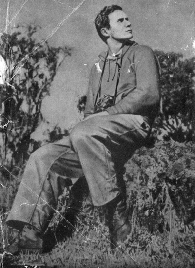 Читать книгу Послесловие к книге Джорджа Шаллера 