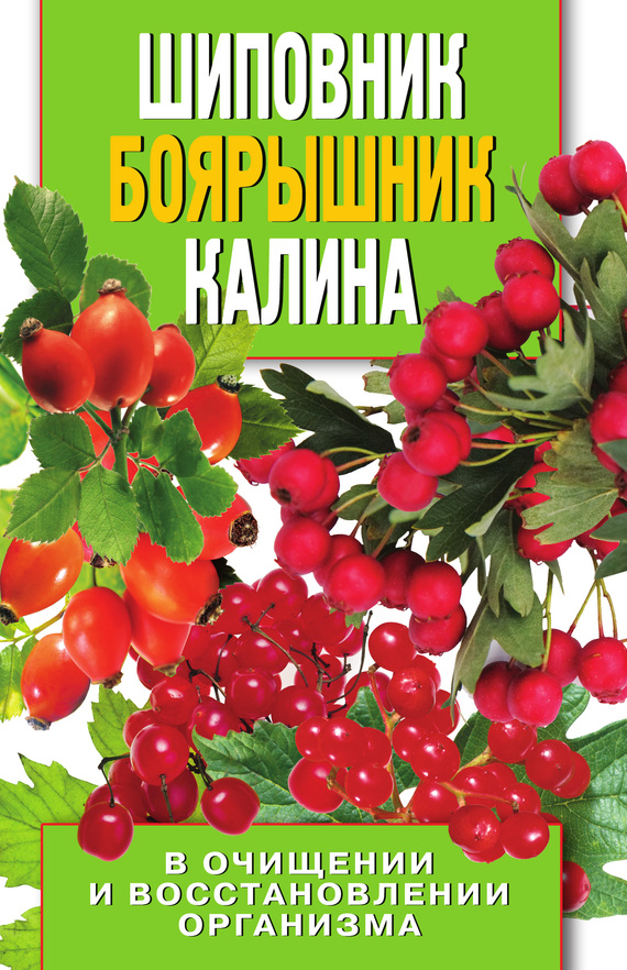 Читать книгу Шиповник, боярышник, калина в очищении и восстановлении организма автор: Алла Валерьяновна Нестерова