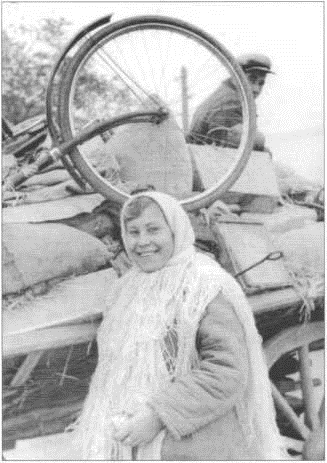 Читать книгу ПОД НЕМЦАМИ. Воспоминания, свидетельства, документы. автор: К. М. Александров