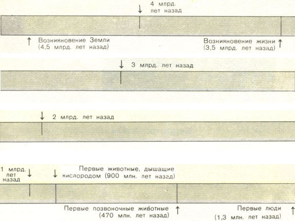 Читать книгу Недостающее звено автор: Мейтленд  Иди