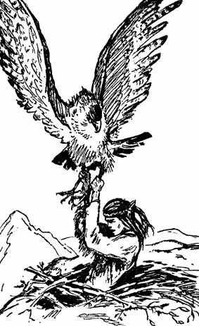 Читать книгу Ловец орлов автор: Джеймс Уиллард Шульц