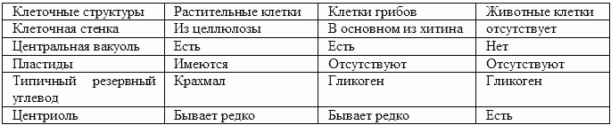 Читать книгу Медицинская биология: конспект лекций для вузов автор: Жанна Анатольевна Ржевская