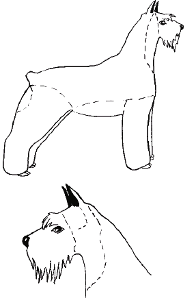 Читать книгу Парикмахерская для собак и кошек автор: М. С. Колов, Е. П. Куприянова