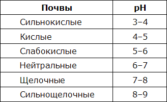 Читать книгу Цитрусовый сад в комнате автор: Венедикт Владимирович Дадыкин