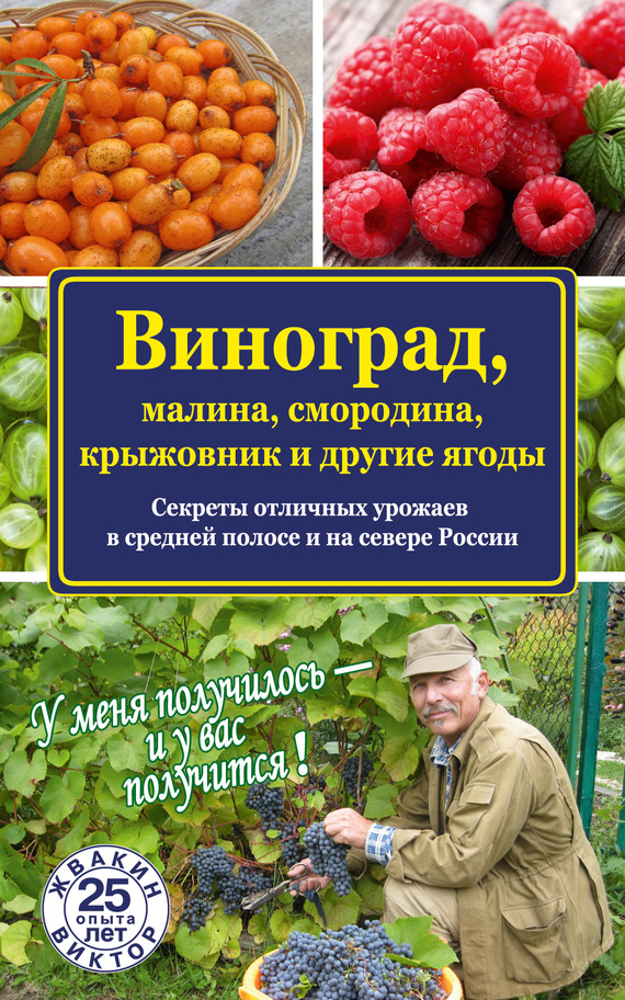 Читать книгу Виноград, малина, смородина, крыжовник и другие ягоды автор: Виктор  Жвакин