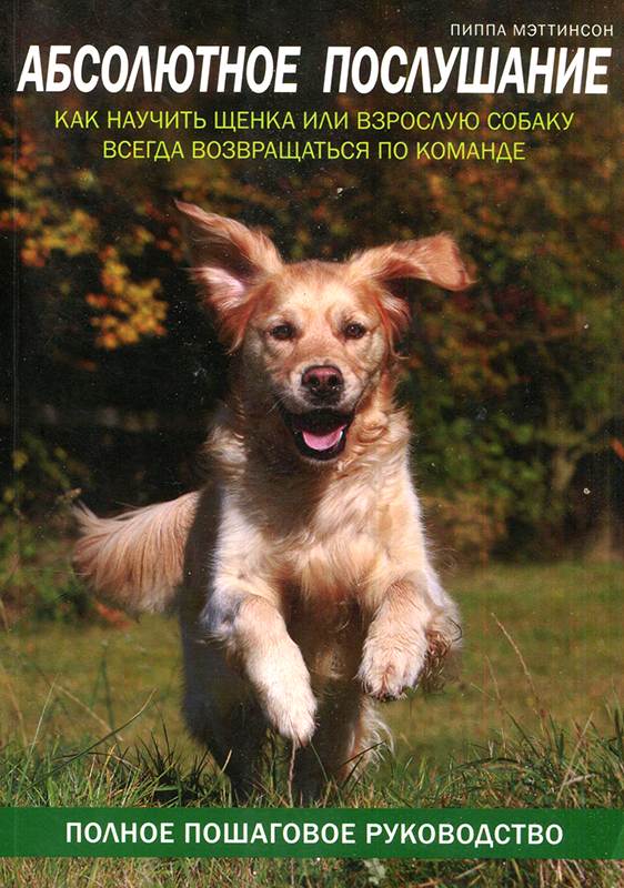 Читать книгу Абсолютное послушание автор: Пиппа  Мэттинсон