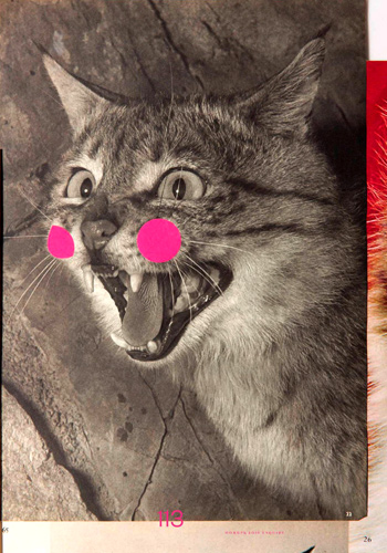 Читать книгу Еще кошек, пожалуйста автор: Наоми  Крайцер