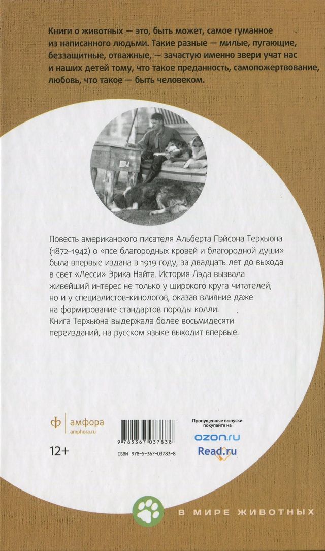 Читать книгу Лэд автор: Альберт Пэйсон Терхьюн