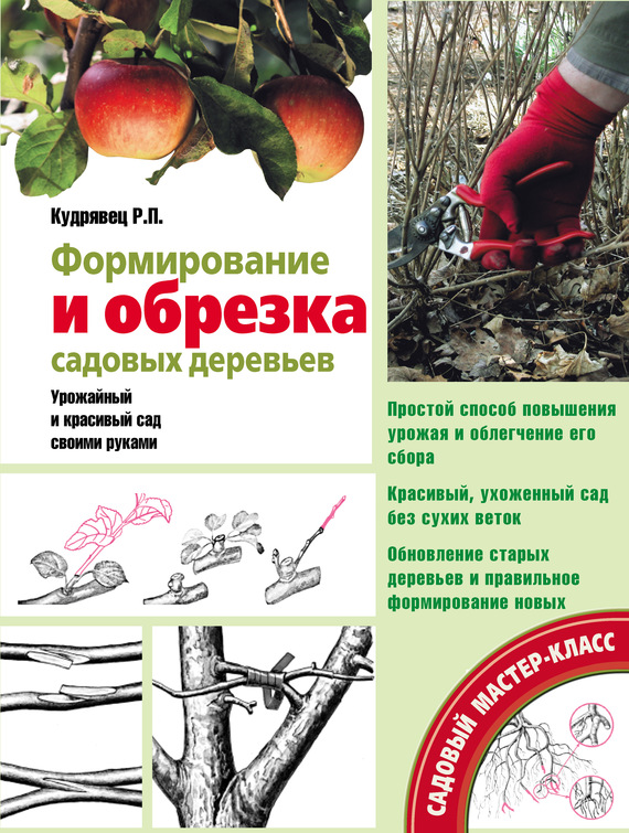 Читать книгу Формирование и обрезка садовых деревьев автор: Роман Петрович Кудрявец