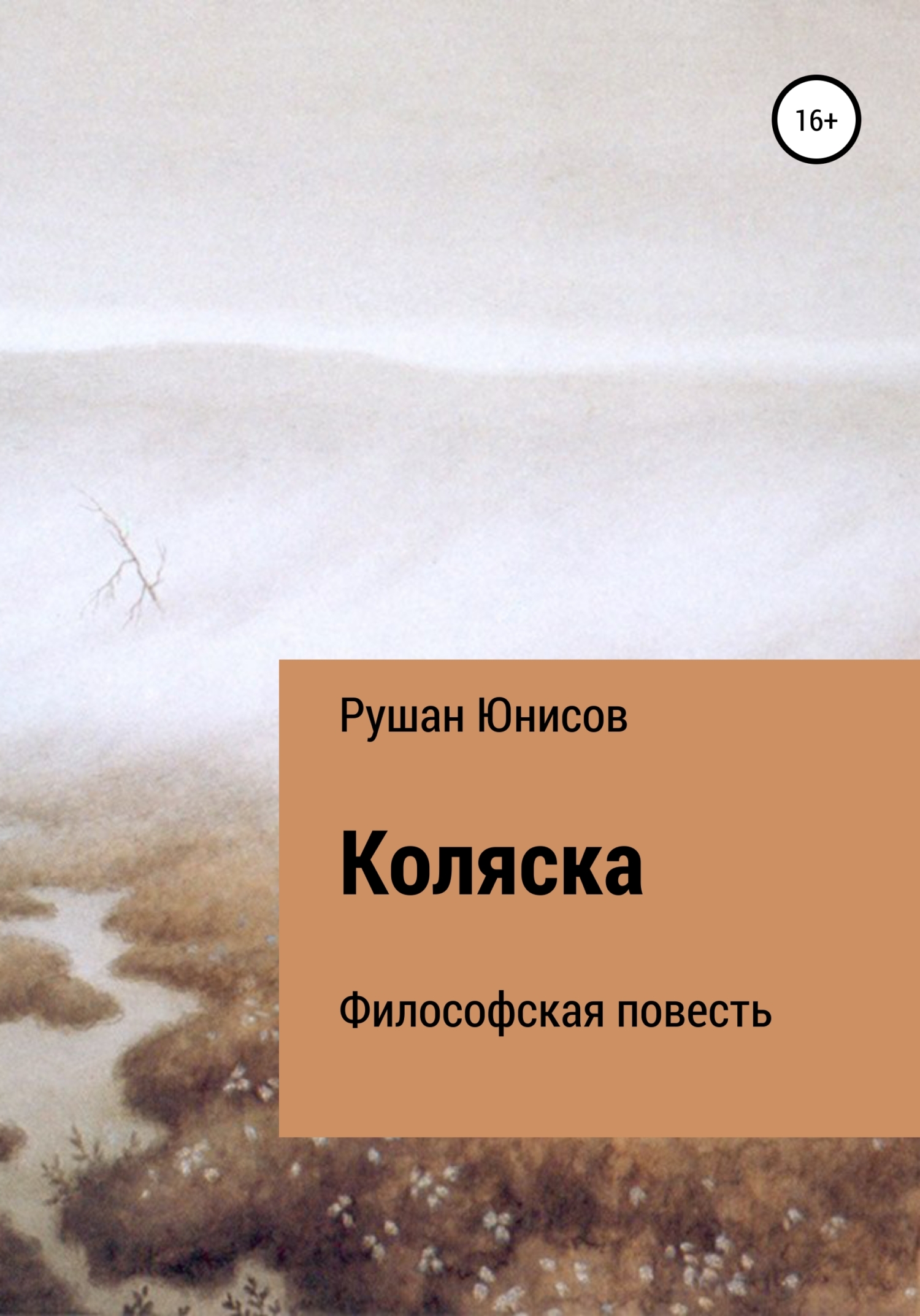 Читать книгу Коляска автор: Рушан  Юнисов