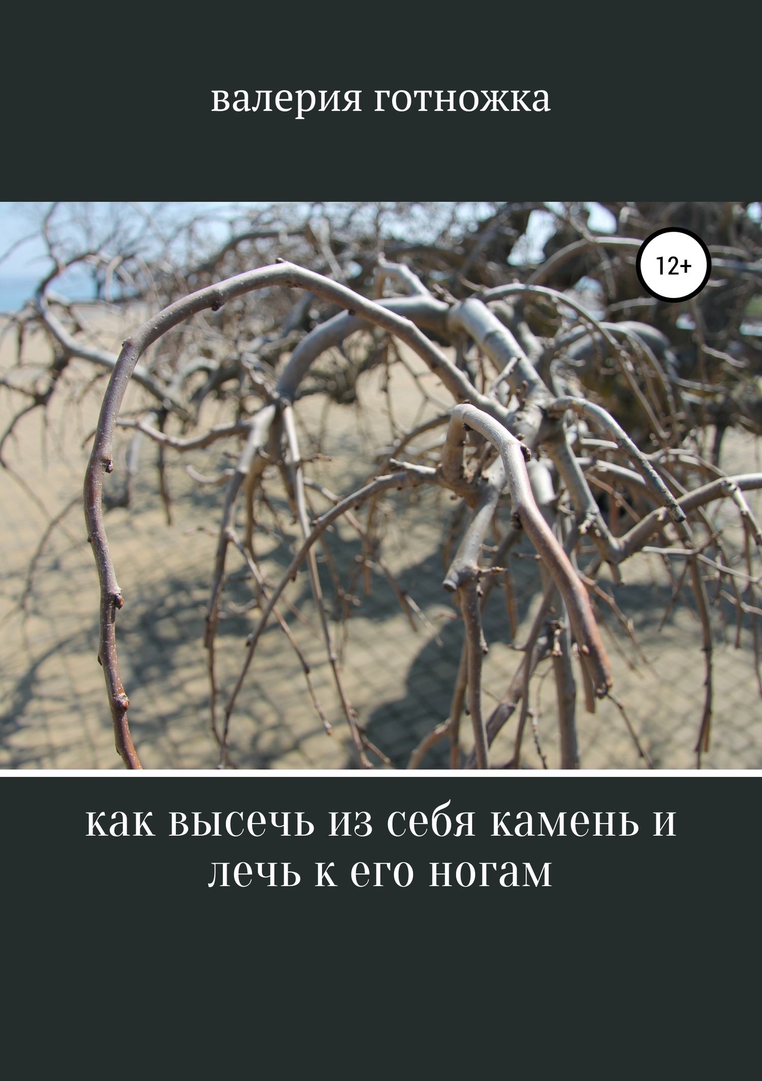 Читать книгу Как высечь из себя камень и лечь к его ногам автор: валерия  готножка