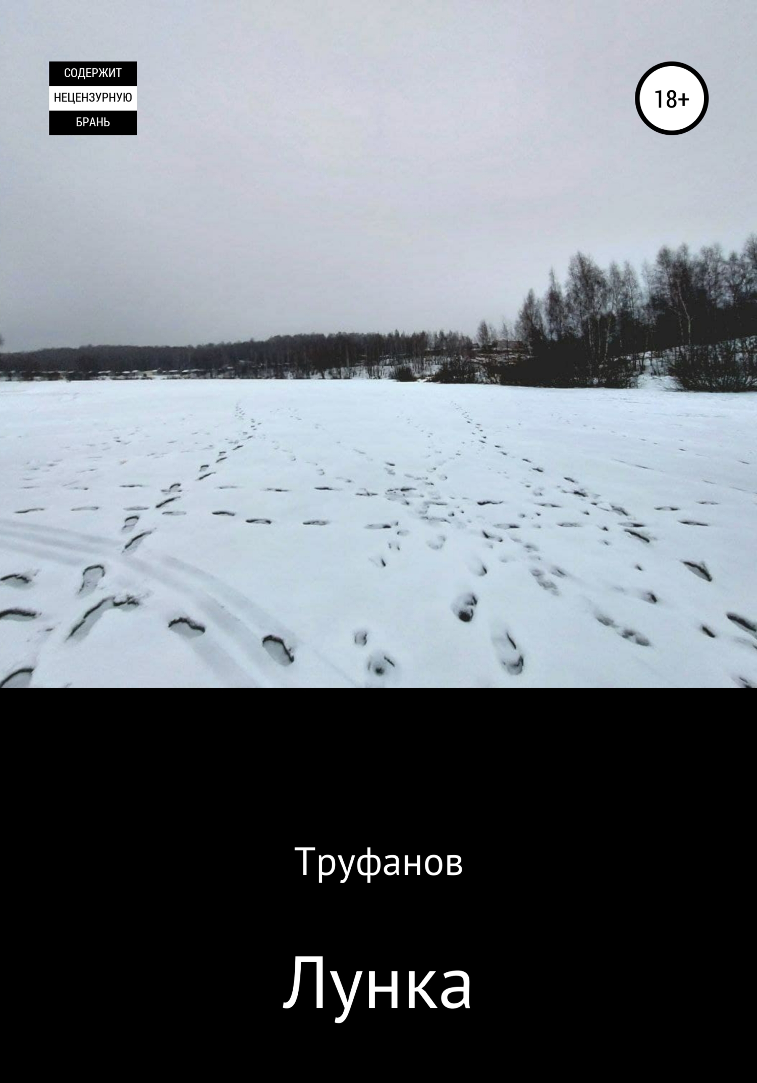 Читать книгу Лунка автор: Василий  Труфанов