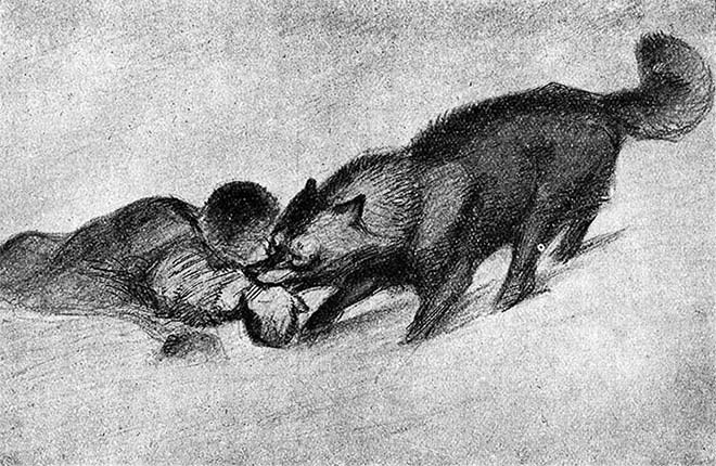 Читать книгу Собаки автор: Альфред Эдмунд Брэм, Эрнест  Сетон-Томпсон, Джек  Лондон, Чарлз  Робертс