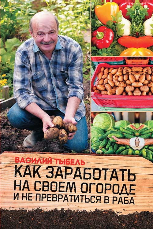 Читать книгу Как заработать на своем огороде и не превратиться в раба автор: Василий Васильевич Тыбель