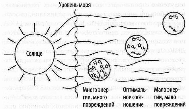 Читать книгу Кислород. Молекула, изменившая мир автор: Ник  Лэйн