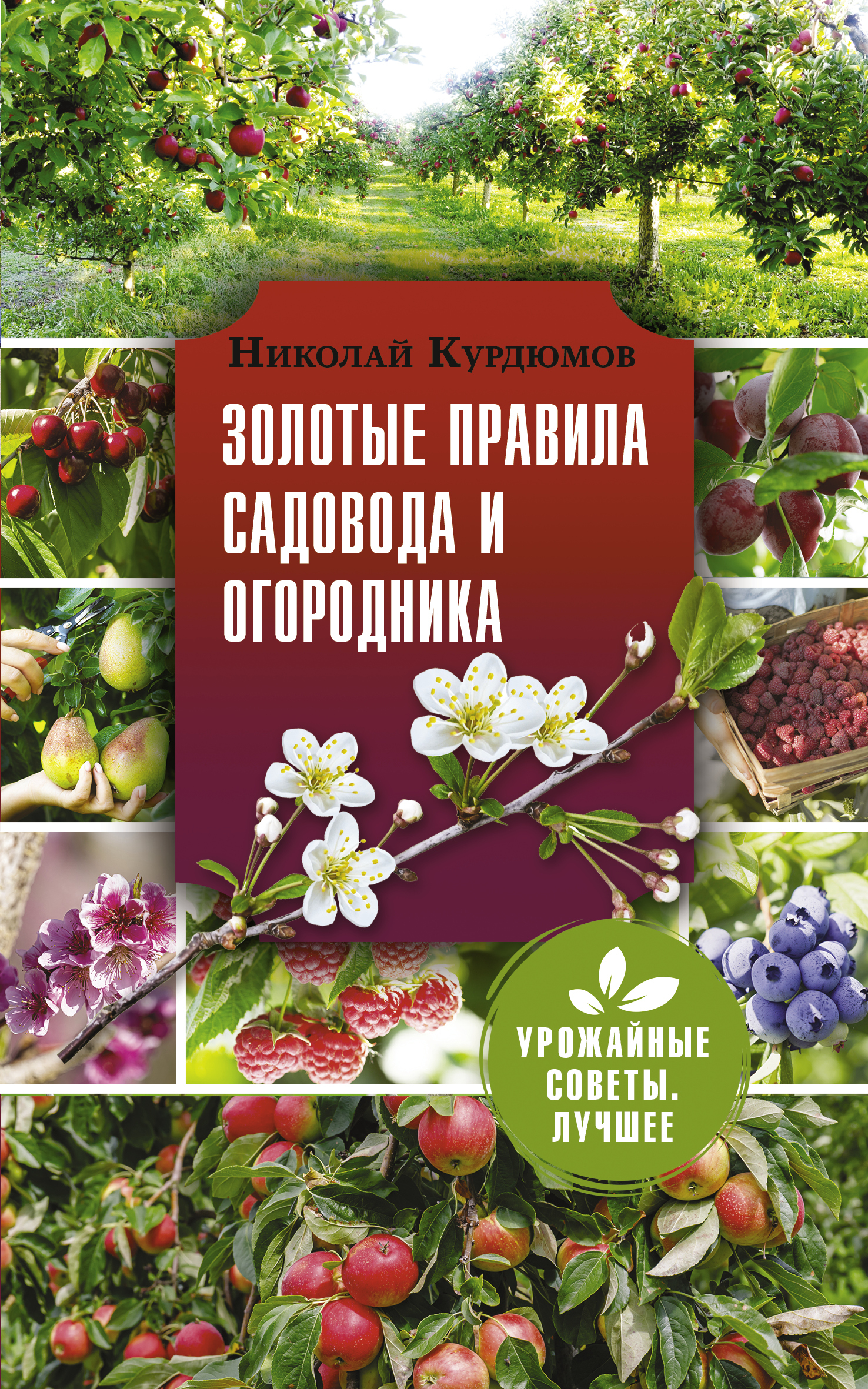 Читать книгу Золотые правила садовода и огородника. 7 секретов большого урожая автор: Николай Иванович Курдюмов