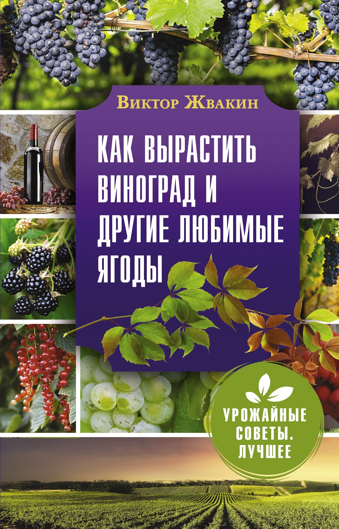 Читать книгу Как вырастить виноград и другие любимые ягоды автор: Виктор Владимирович Жвакин