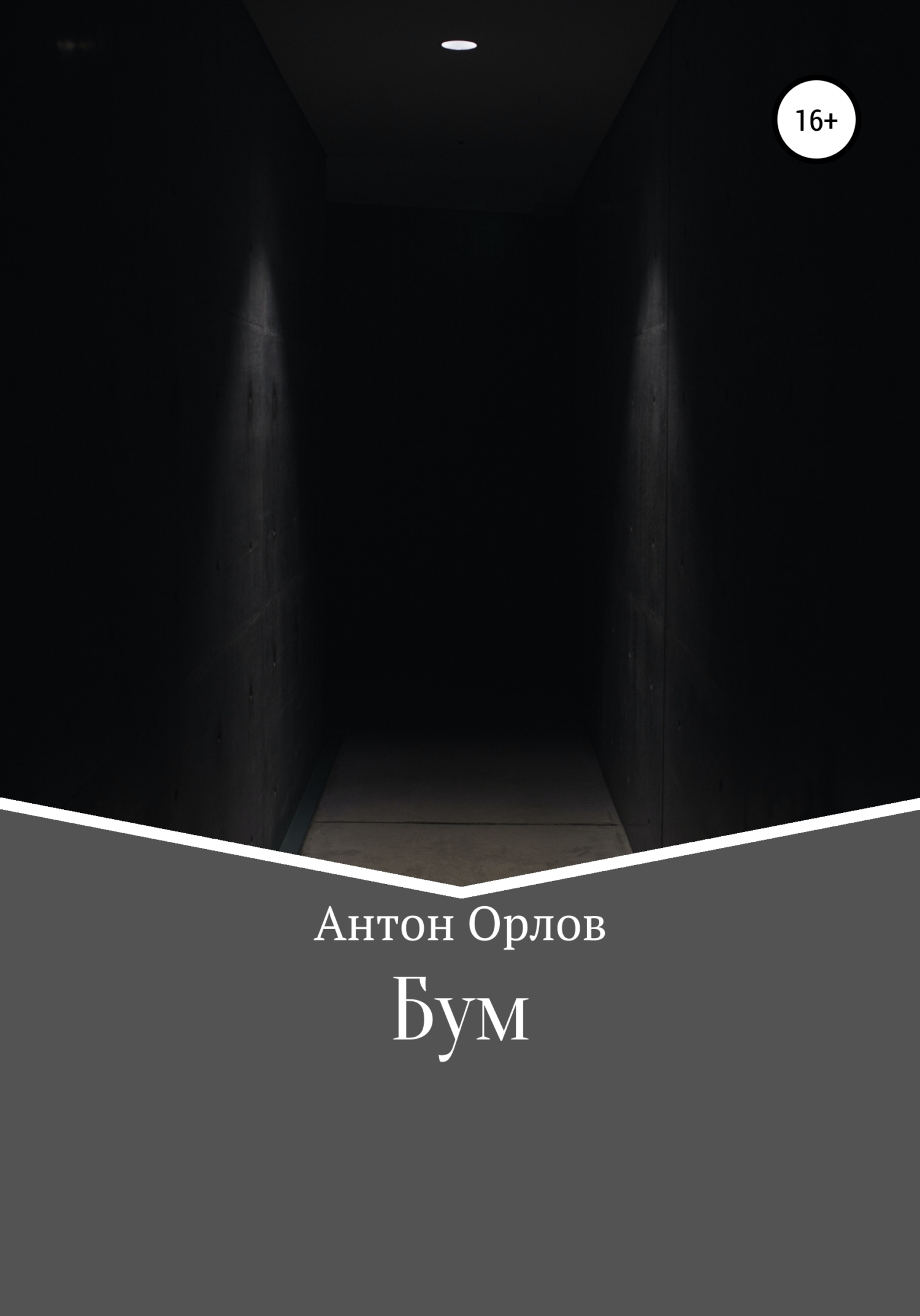 Читать книгу Бум автор: Антон  Орлов