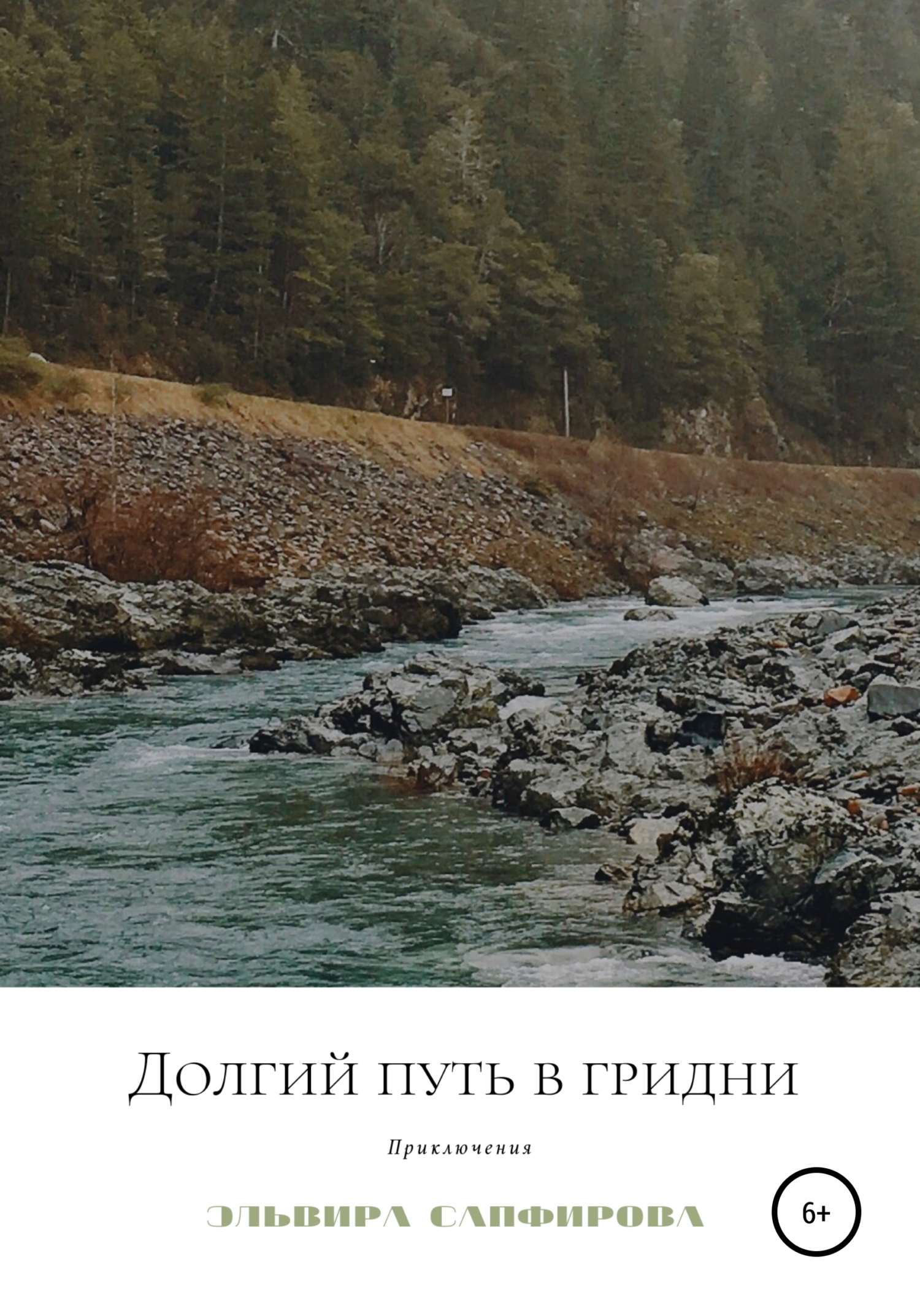 Читать книгу Долгий путь в Гридни автор: Эльвира Ивановна Сапфирова