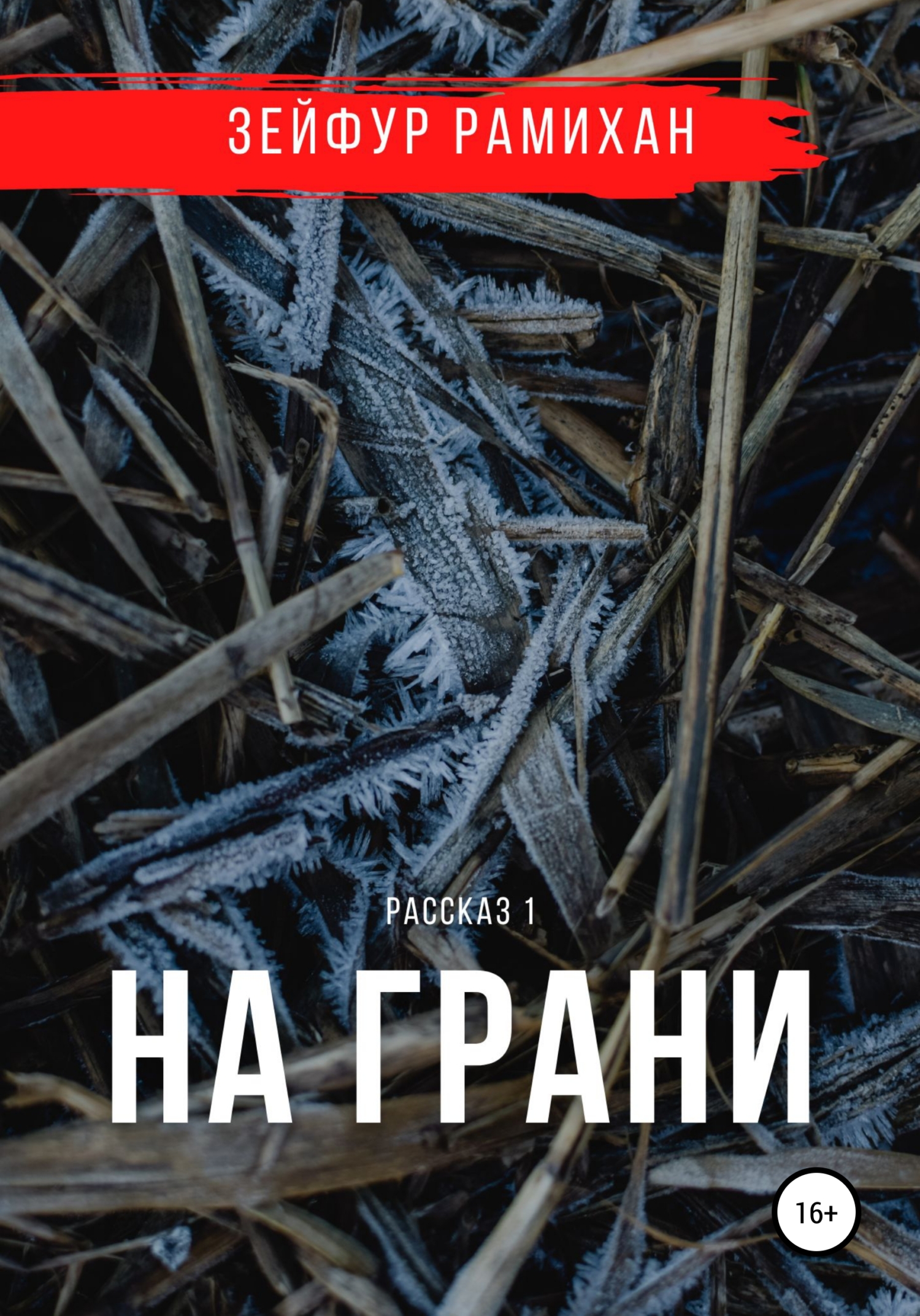 Читать книгу На грани автор: Зейфур  Рамихан