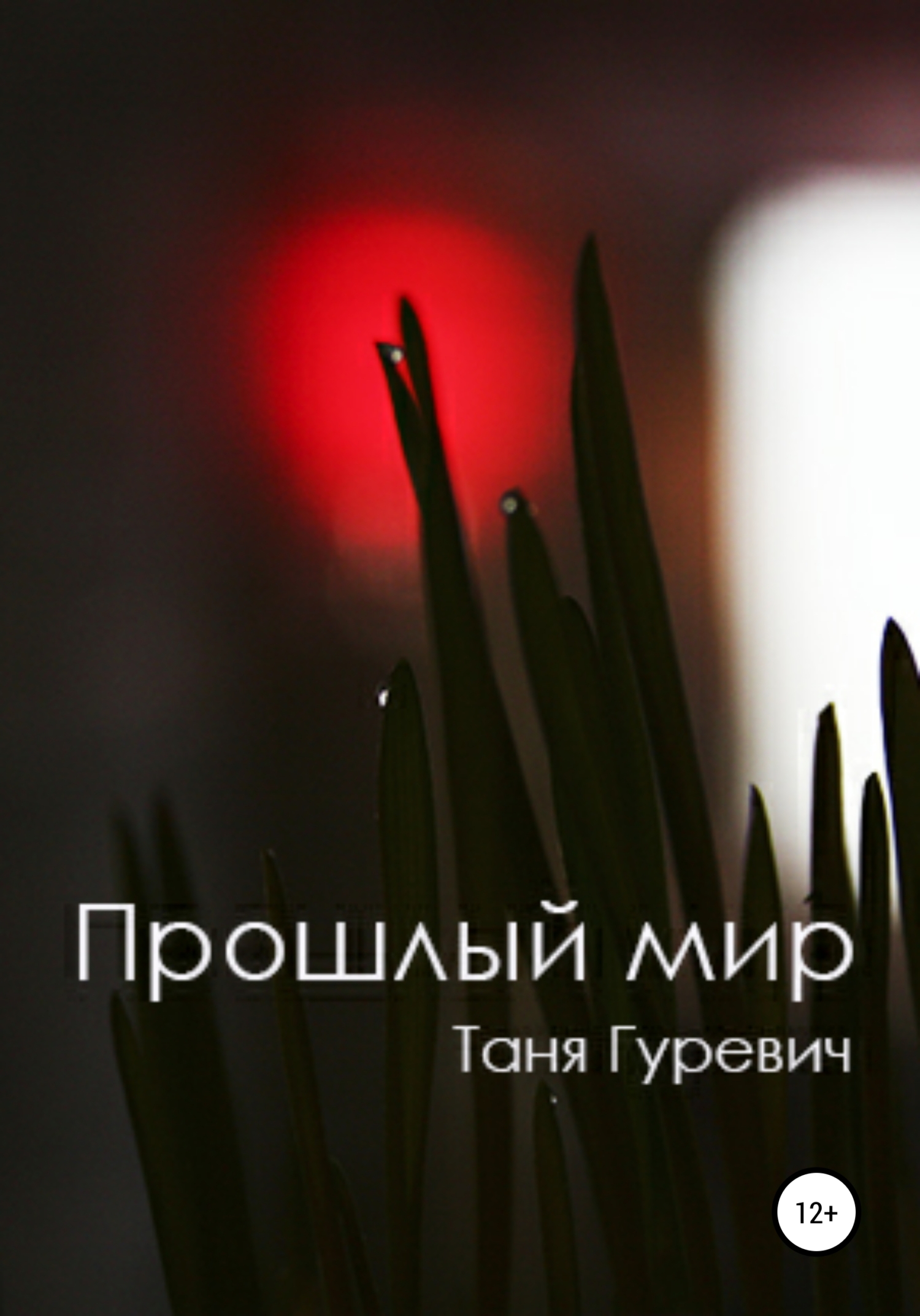 Читать книгу Прошлый мир автор: Таня  Гуревич