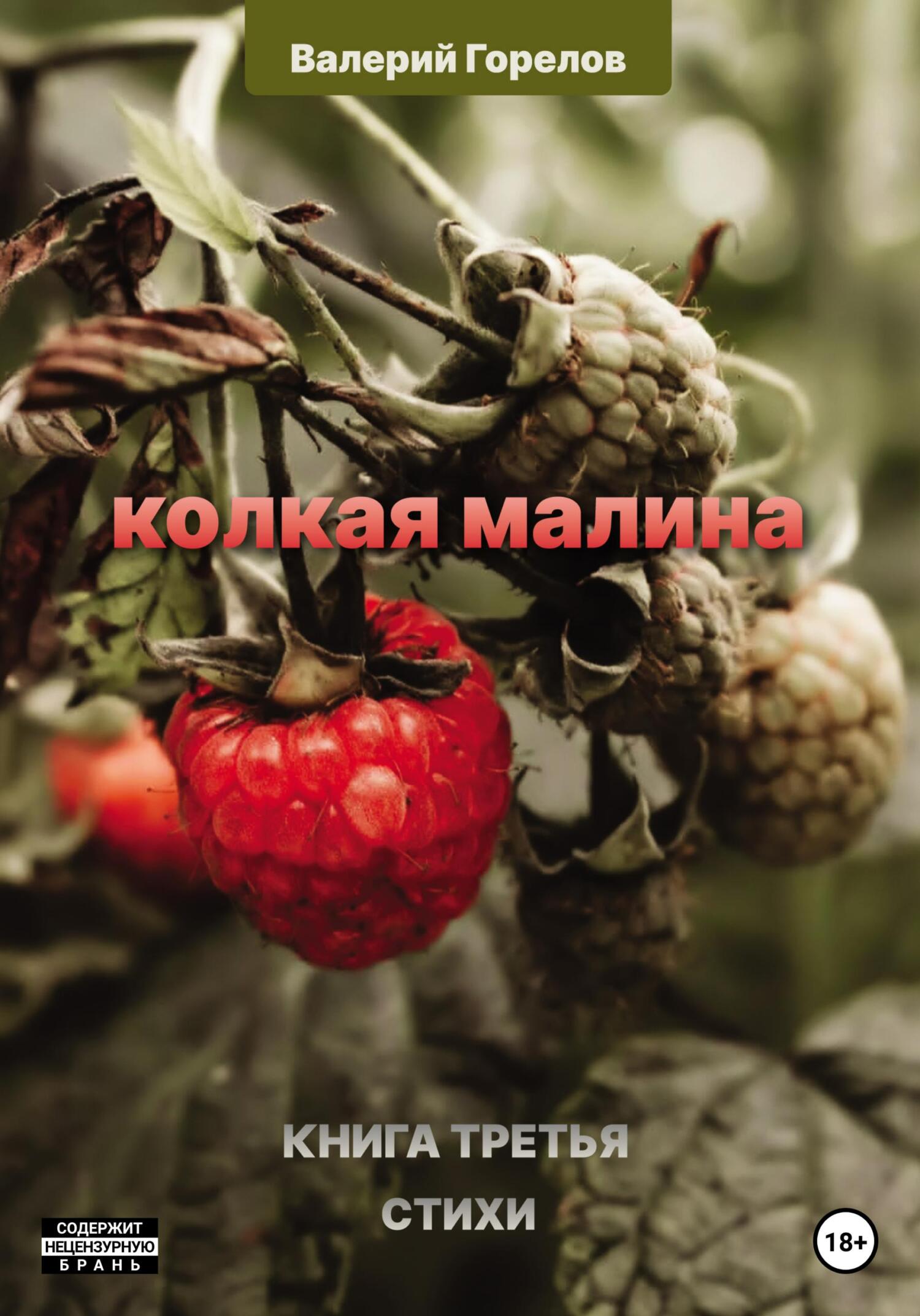 Читать книгу Колкая малина. Книга третья автор: Валерий Николаевич Горелов