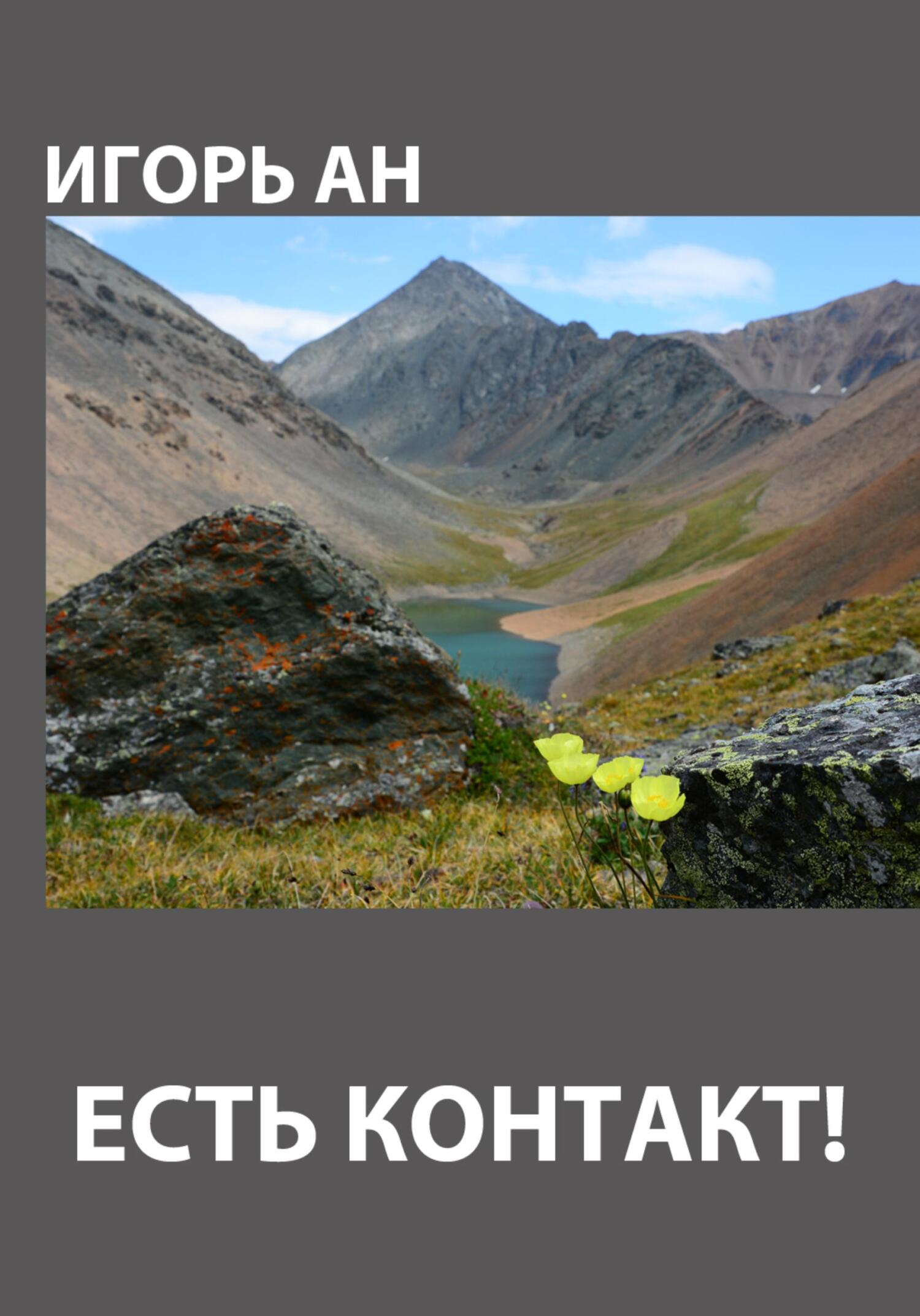 Читать книгу Есть контакт! автор: Игорь  Ан
