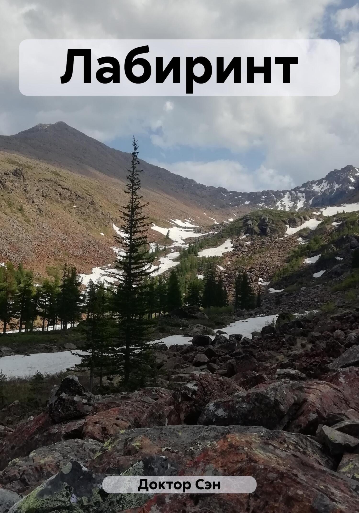 Читать книгу Лабиринт автор:   Доктор Сэн
