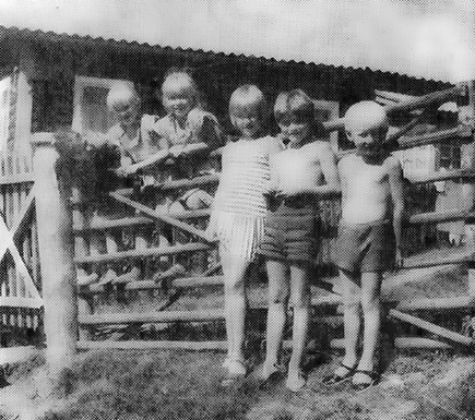 Читать книгу Этюды о карельской культуре автор: Пертти  Виртаранта