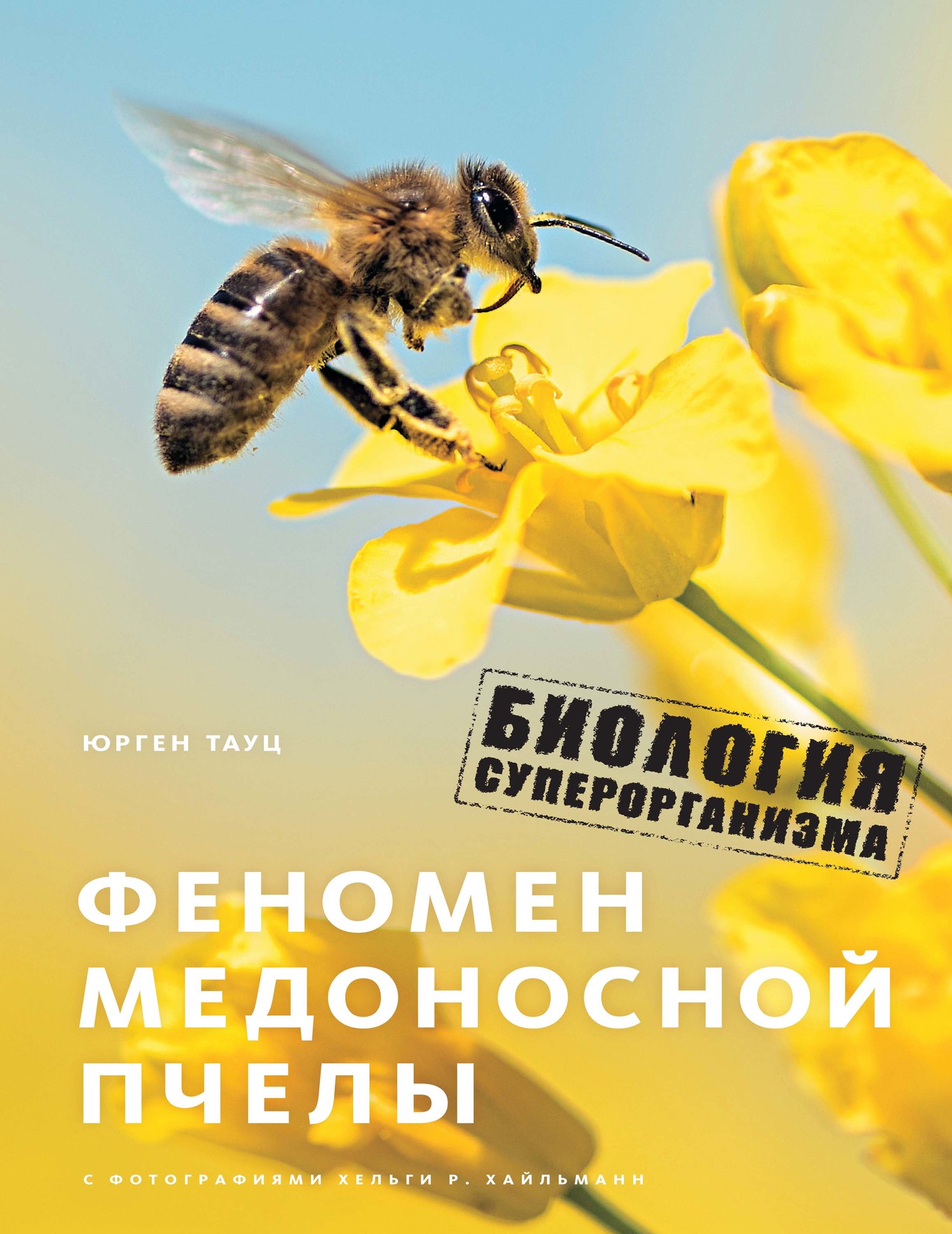 Читать книгу Феномен медоносной пчелы. Биология суперорганизма автор: Юрген  Тауц