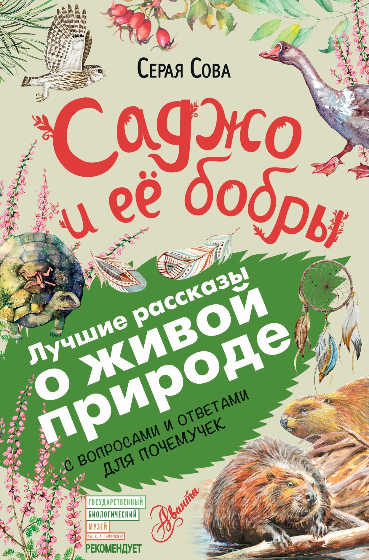 Читать книгу Саджо и ее бобры. С вопросами и ответами для почемучек автор: Вэши (Серая Сова)  Куоннезина