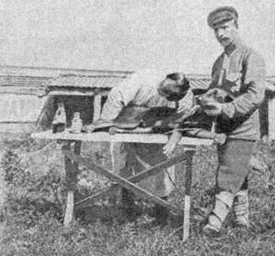 Читать книгу Курс теории дрессировки собак. Военная собака автор: Всеволод В. Языков