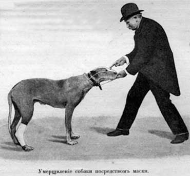 Читать книгу Наши домашнiя животныя. Собаки автор: Р.  Клетт, Л.  Гольтгоф