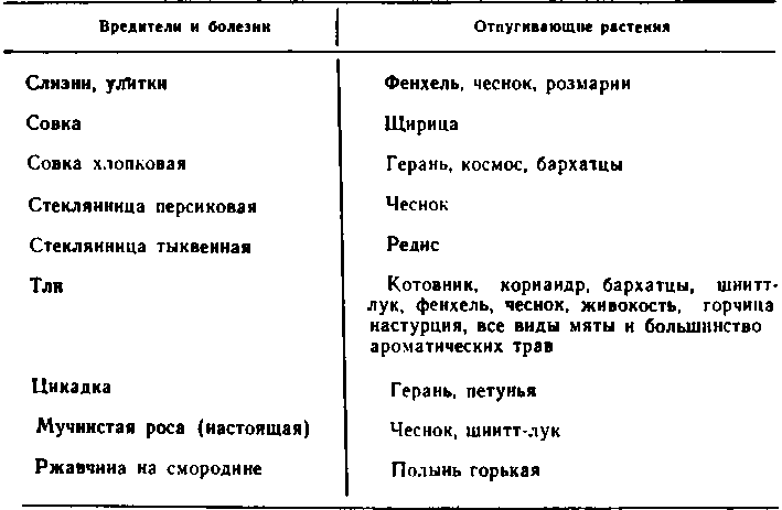 Читать книгу Зелёное удобрение на садовом участке автор: Наталья Михайловна Жирмунская