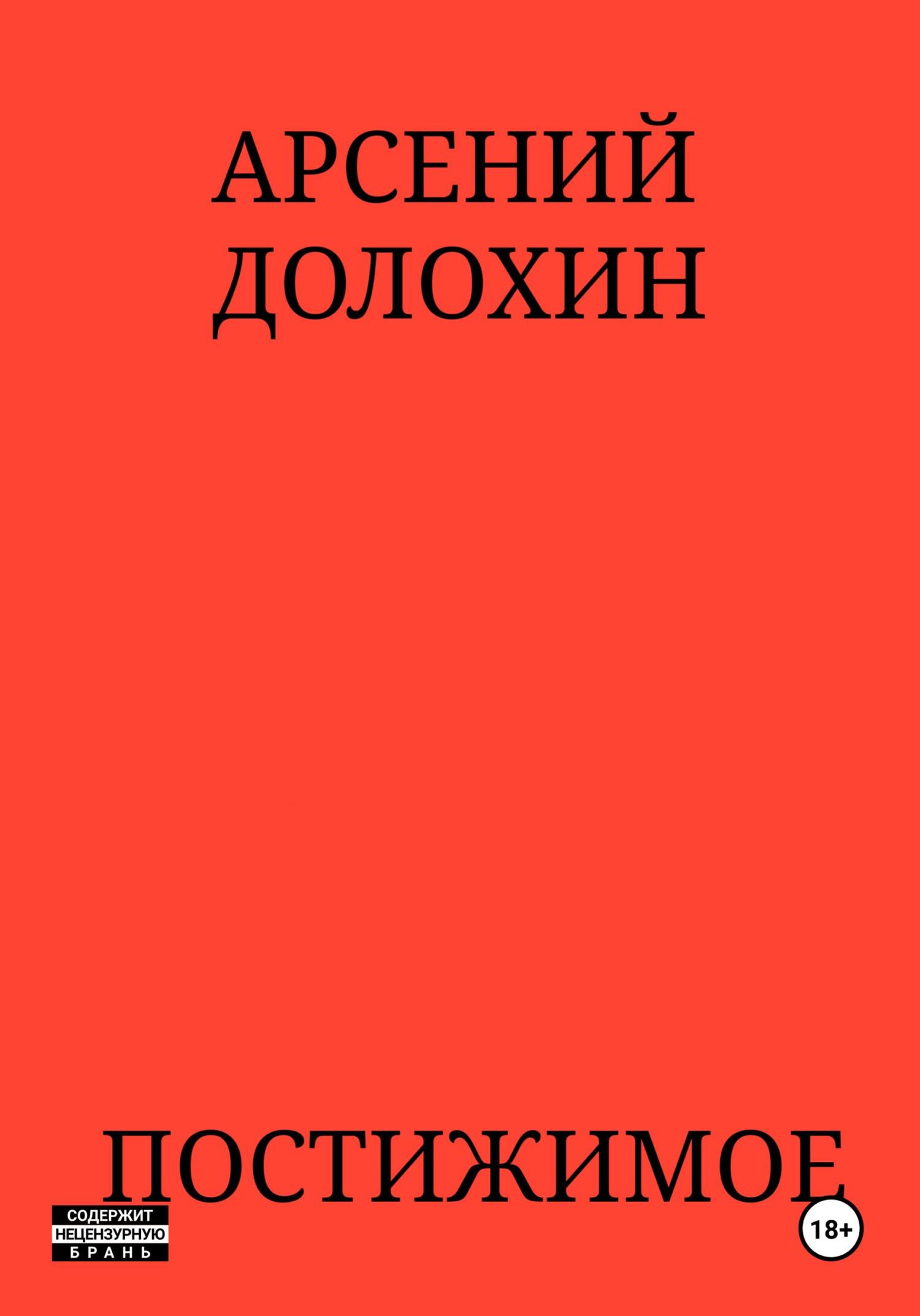 Читать книгу Постижимое автор: Арсений  Долохин