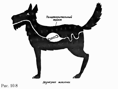 Читать книгу Краткая история времени. От большого взрыва до черных дыр автор: Стивен  Хокинг