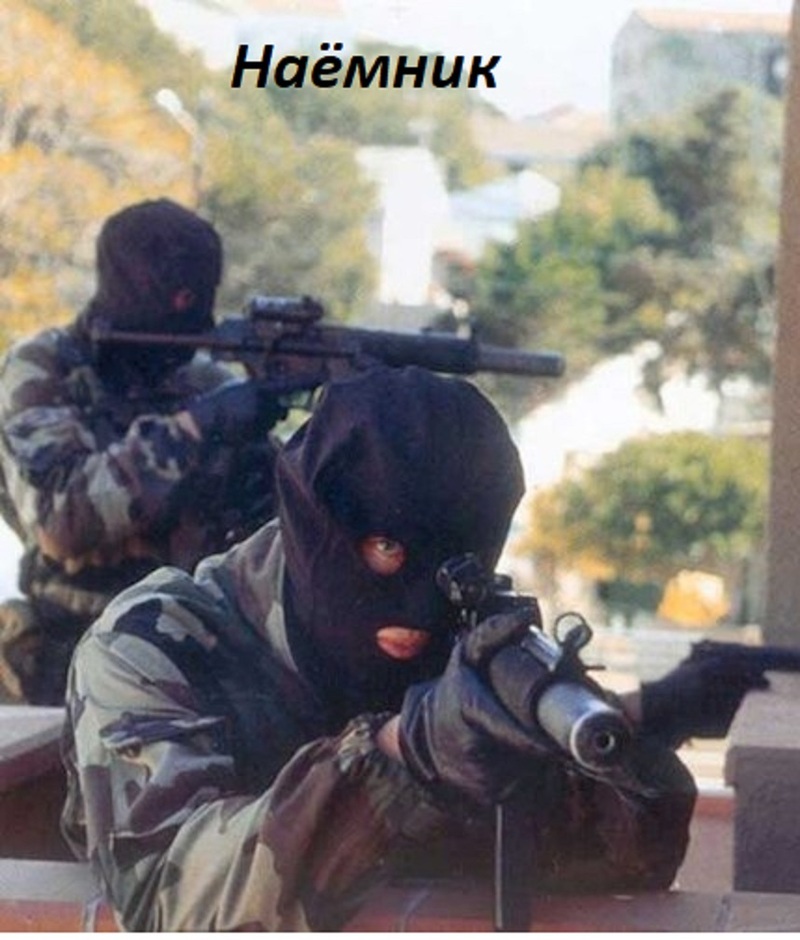 Читать книгу Наёмник (СИ) автор: Д. Н. Васильченко