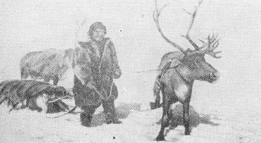 Читать книгу По горам и тундрам Чукотки. Экспедиция 1934-1935 гг. автор:  Сергей Владимирович Обручев