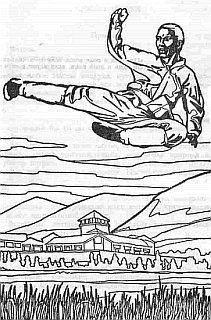 Читать книгу Воспитанник Шао.Том 1 автор: Сергей  Разбоев