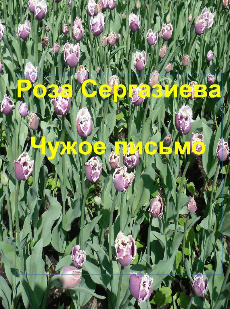 Читать книгу Чужое письмо (СИ) автор: Роза  Сергазиева