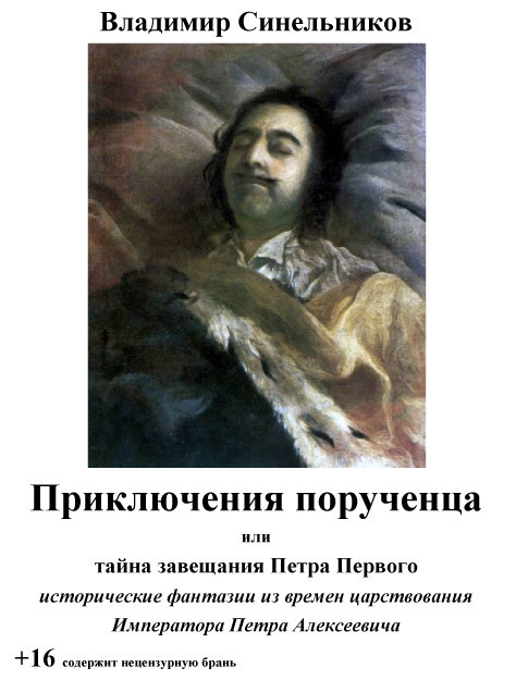 Читать книгу Приключения порученца, или Тайна завещания Петра Великого (СИ) автор: Владимир  Синельников