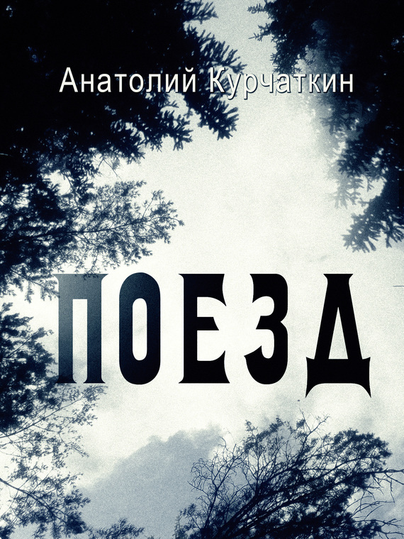 Читать книгу Поезд автор: Анатолий Николаевич Курчаткин