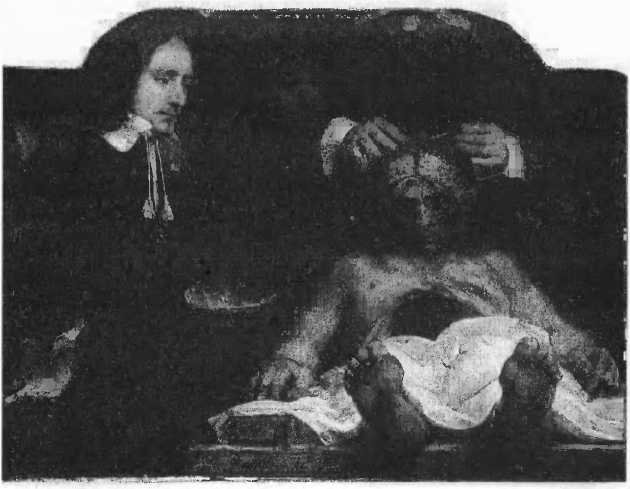 Читать книгу Мы — это наш мозг. От матки до Альцгеймера автор: Дик  Свааб