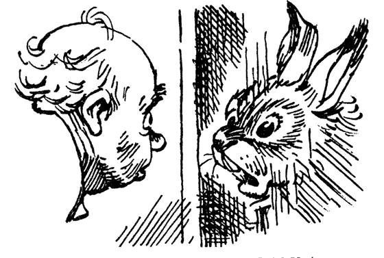 Читать книгу Отражение рожи автор: А. В. Булычев