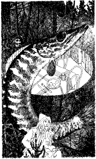 Читать книгу Берегись колдуна! [Не гневи колдуна!] автор: Кир  Булычев