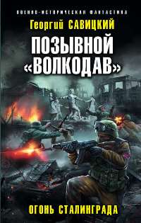Читать книгу Огонь Сталинграда автор: Георгий  Савицкий